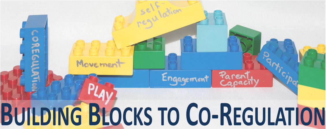Building Blocks to Co-Regulation